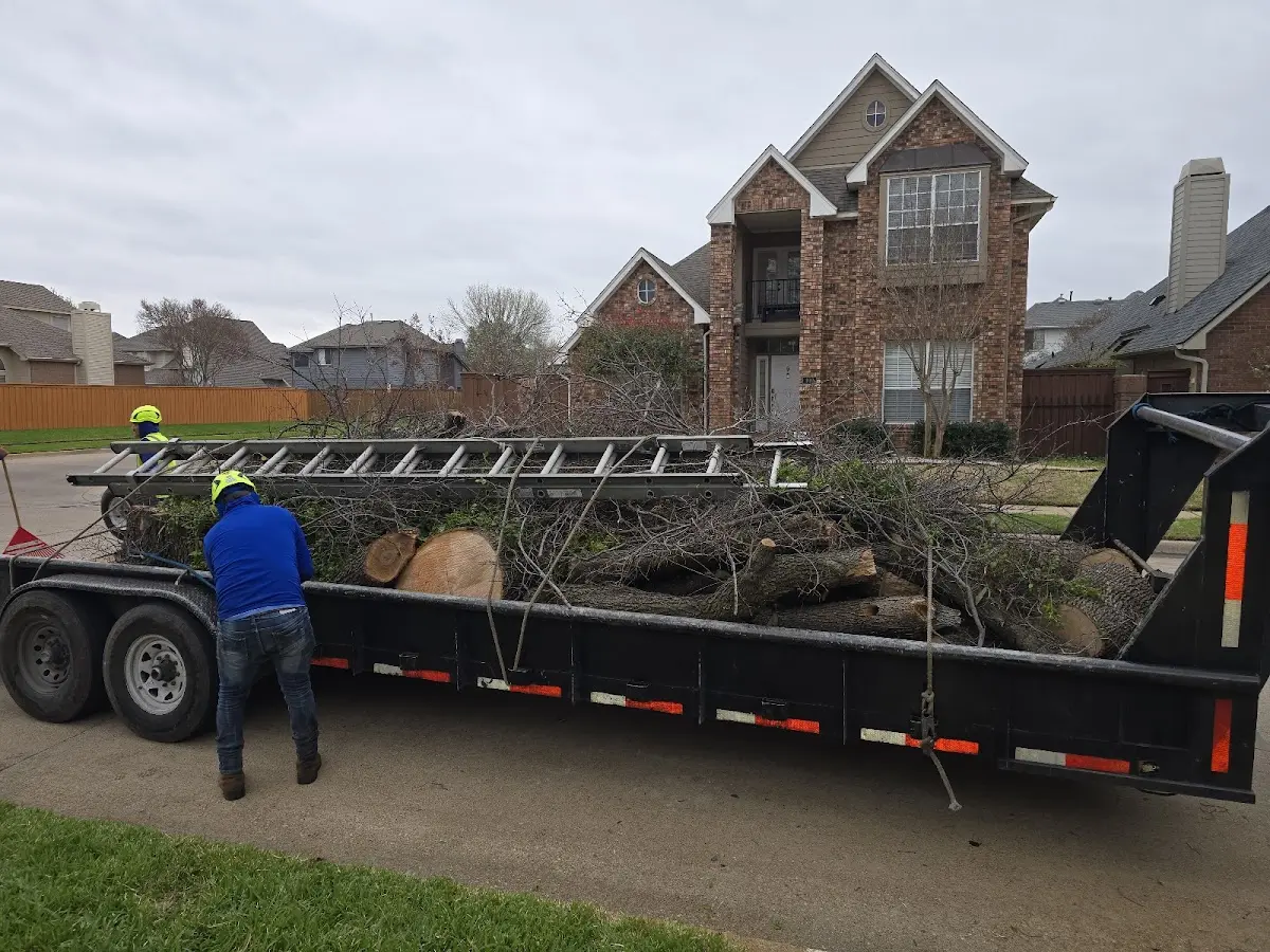 Expert Tree Fertilization with proper safety equipment in Lagrange